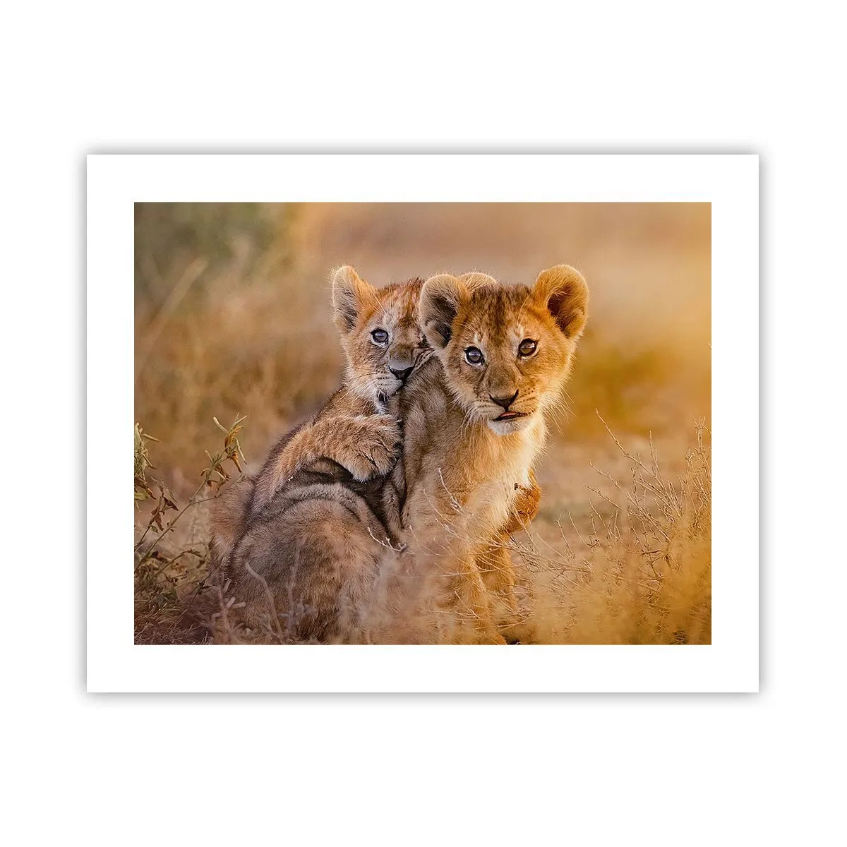 Poster - Do Not Disturb! We Are Playing - 50x40 cm