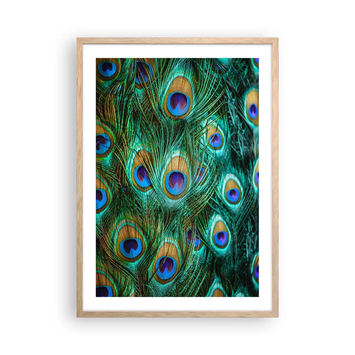 Poster in light oak frame - Peacock Eyes - 50x70 cm