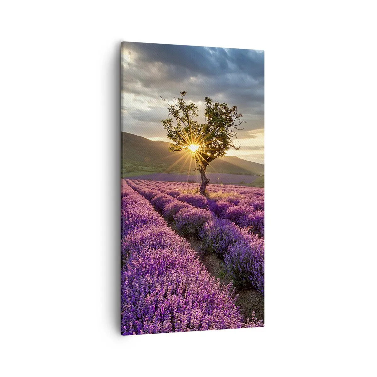 Canvas picture - Lilac Coloured Aroma - 55x100 cm