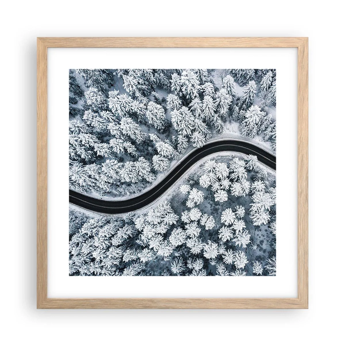 Poster in light oak frame - Through Wintery Forest - 40x40 cm