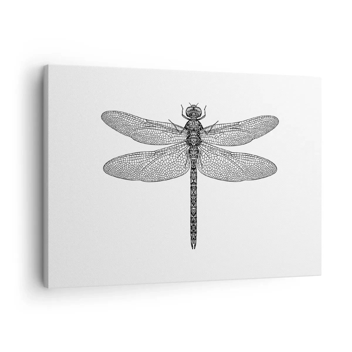 Canvas picture - Black and white drawing of a dragonfly on a white background in a minimalist style - 70x50cm - Precision of Nature - Modern wall decoration for the living room and bedroom ARTTOR