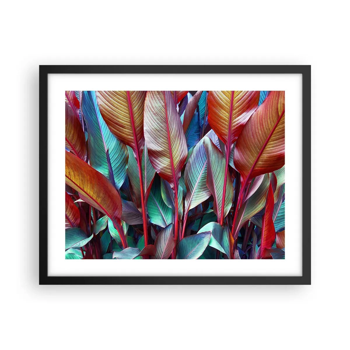 Poster in black frame - Colourful Thicket - 50x40 cm