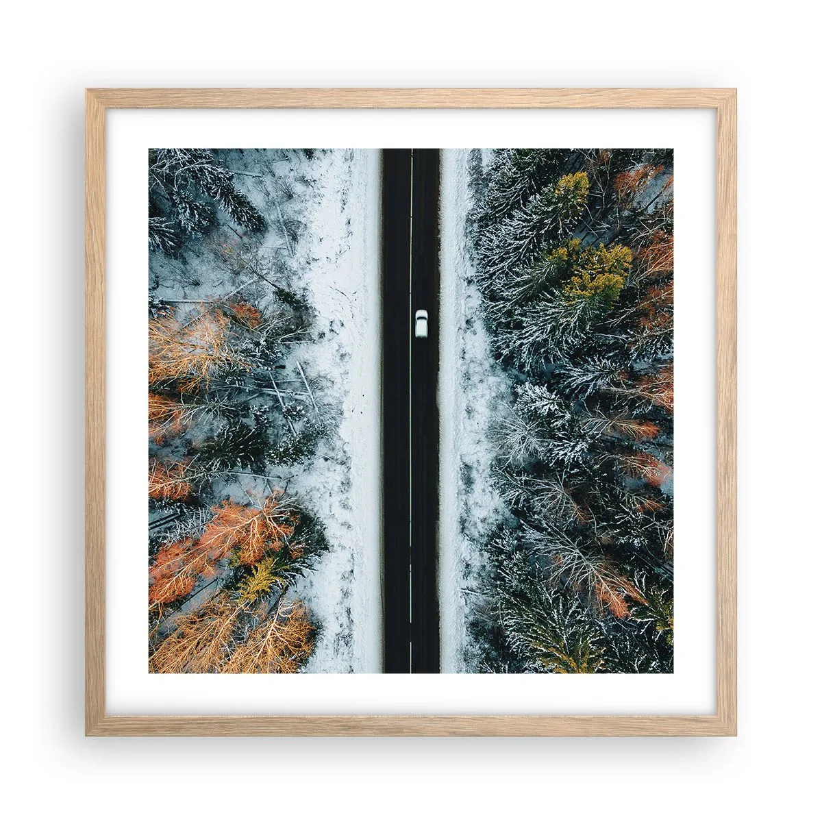 Poster in light oak frame - Through a Wintery Forest - 50x50 cm