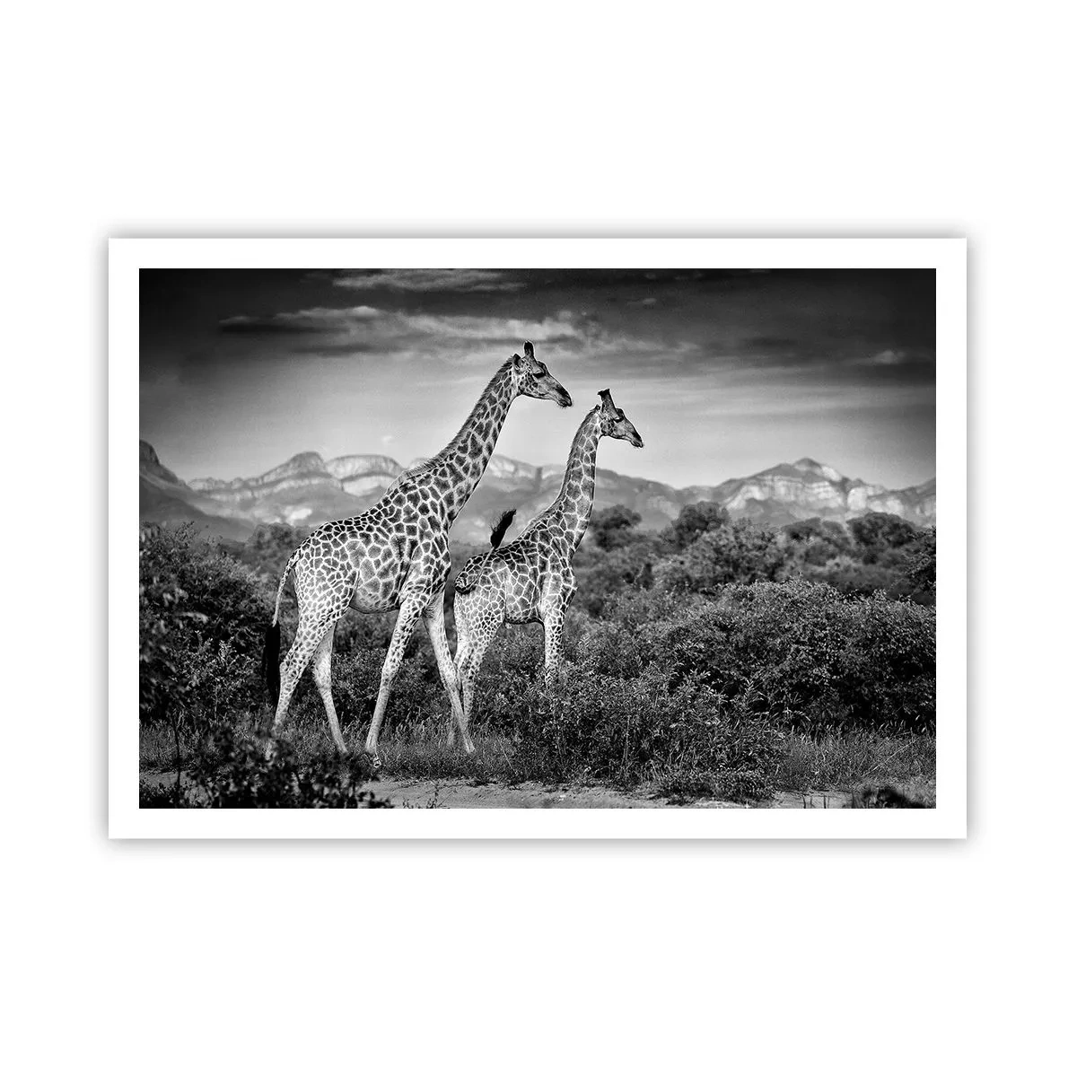 Poster - Higher Spheres in Africa - 100x70 cm