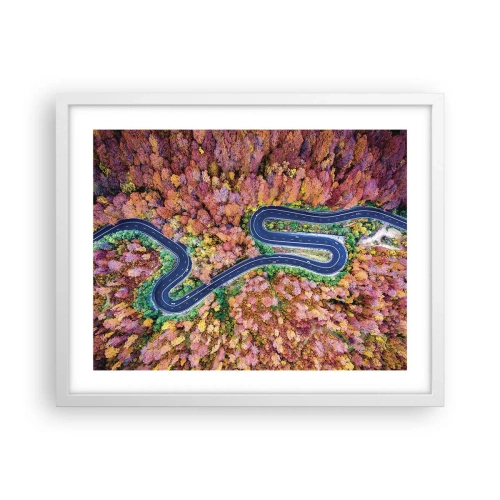 Poster in white frmae - Winding Path through a Forest - 50x40 cm