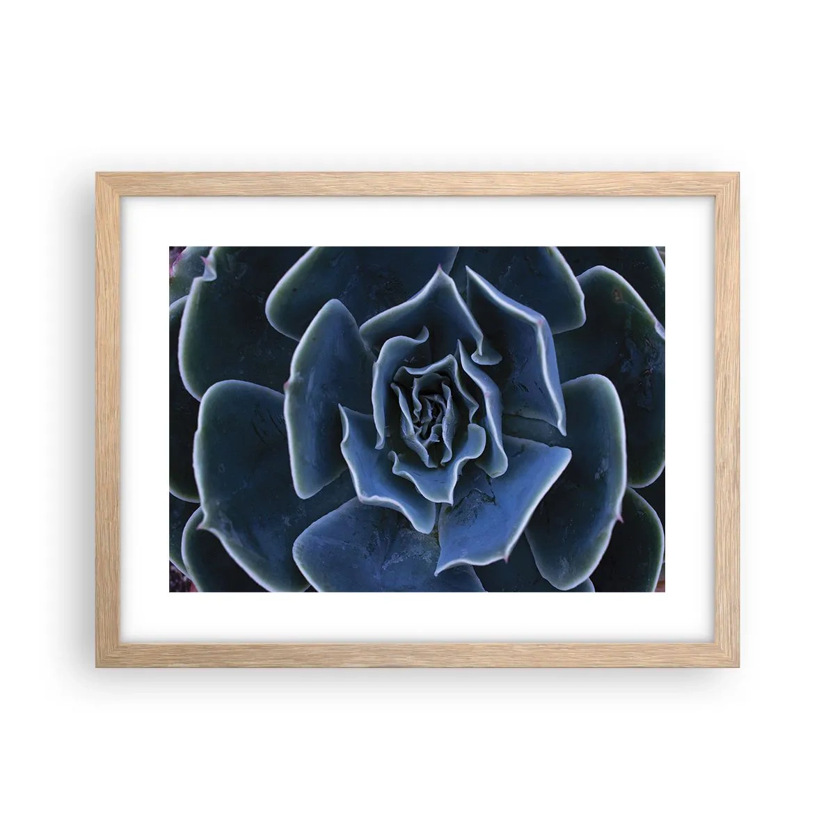 Poster in light oak frame - Flower of the Desert - 40x30 cm