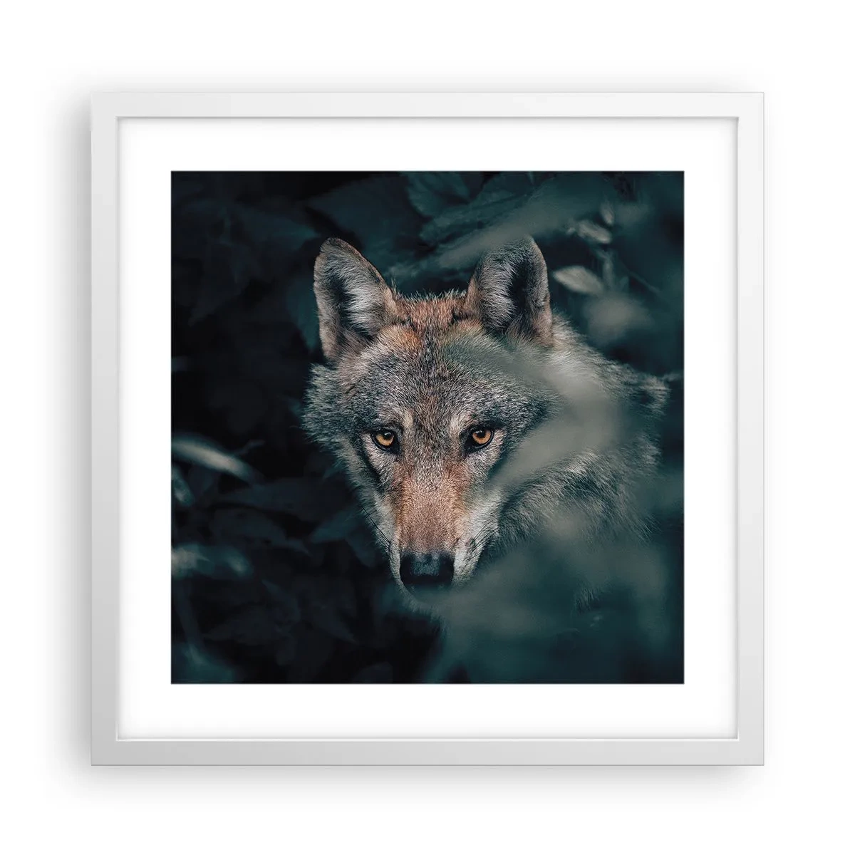Poster in white frmae - Hunter - 40x40 cm
