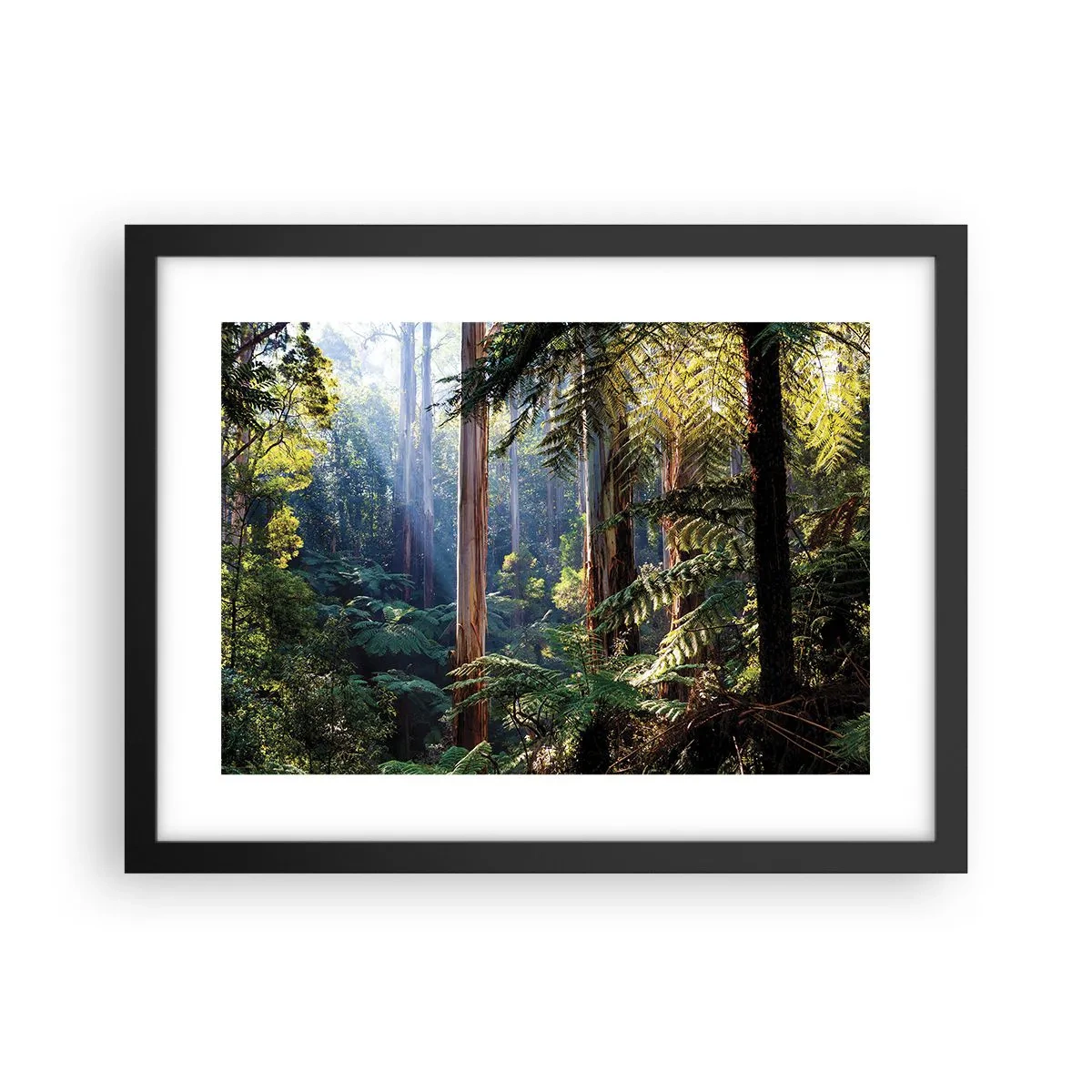 Poster in black frame - Tale of a Forest - 40x30 cm