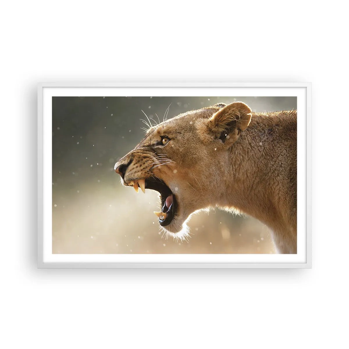 Poster in white frmae - Try Not to Listen - 91x61 cm