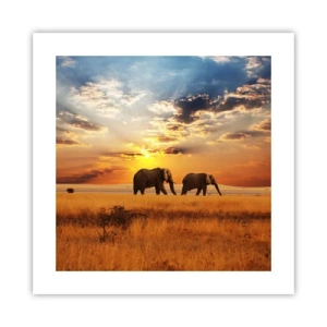 Poster - Family Walk - 40x40 cm