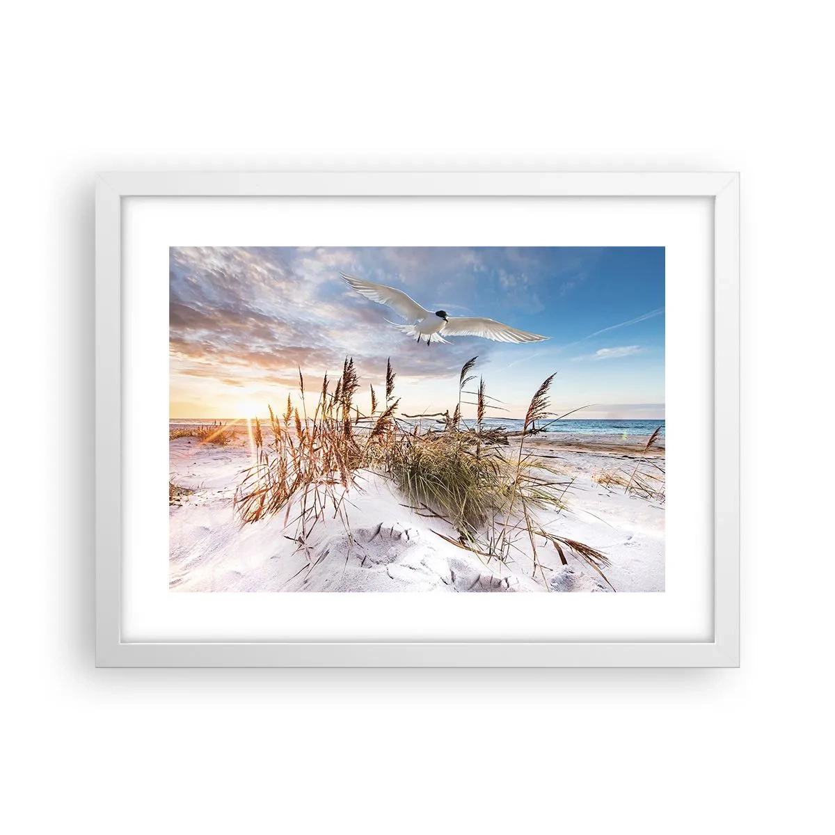 Poster in white frmae - Wind from the Sea - 40x30 cm