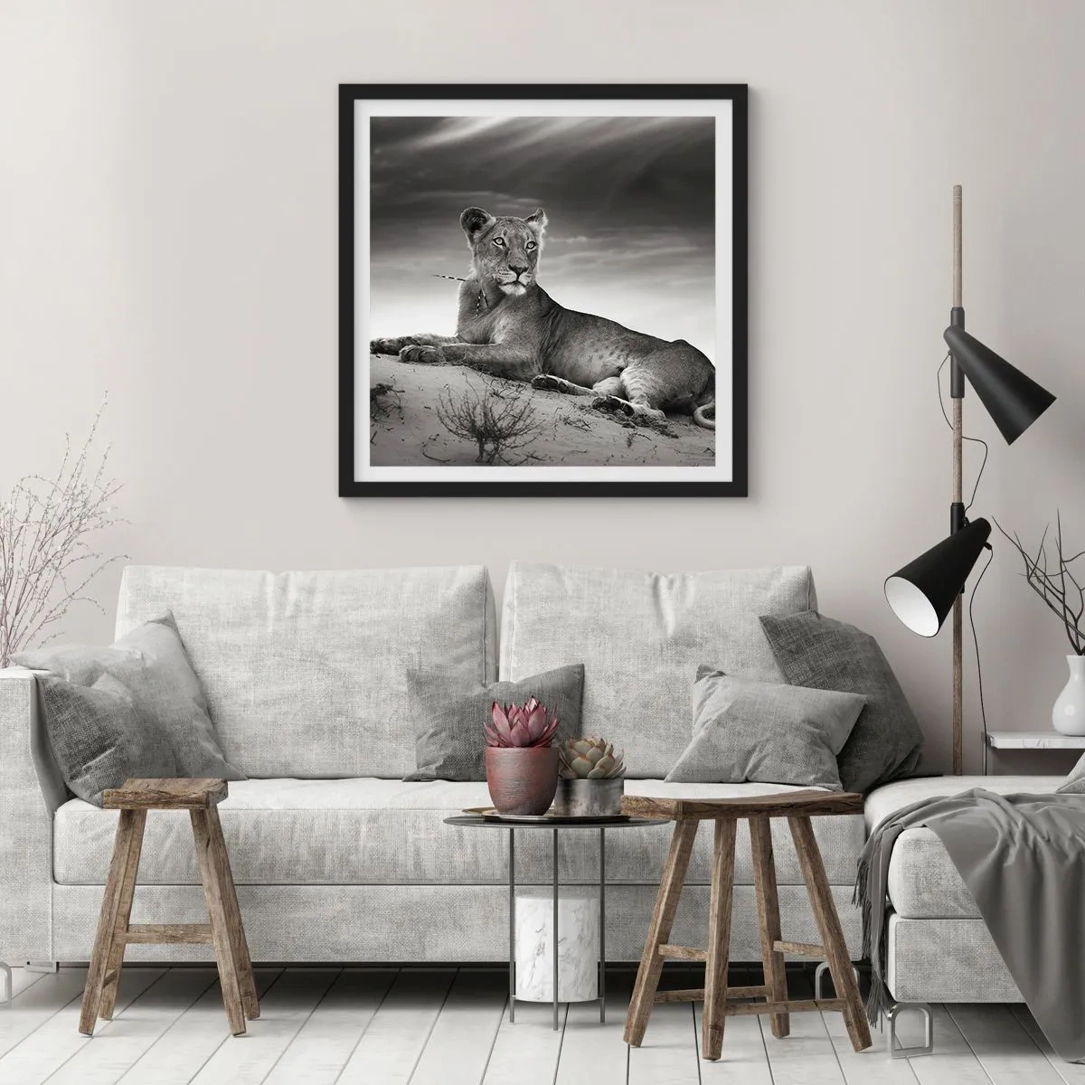 Poster in black frame - Queen of Desert Is Resting - 60x60 cm