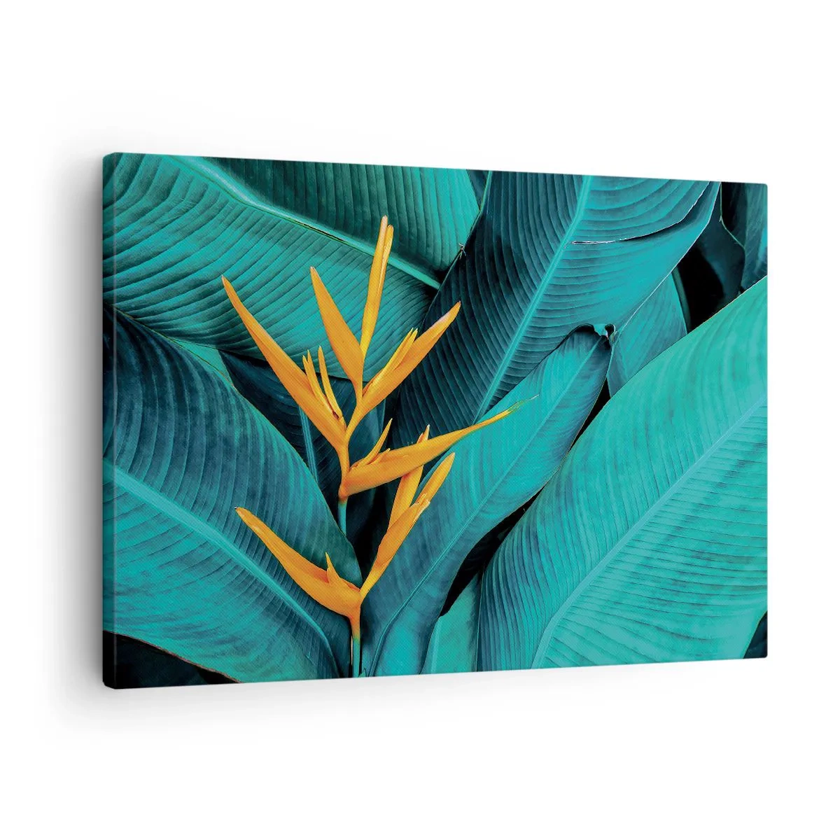 Canvas picture - An exotic flower against a background of banana leaves in turquoise shades. - 70x50cm - Flower of Eden - Modern wall decoration for the living room and bedroom ARTTOR