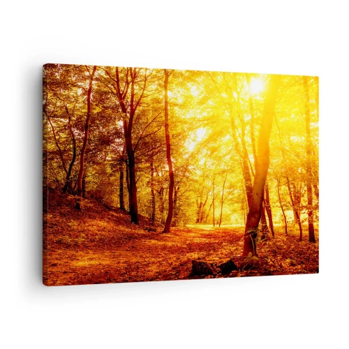 Canvas picture - Autumn glade in golden sunlight with a forest path - 70x50cm - Towards Golden Plain - Modern wall decoration for the living room and bedroom ARTTOR
