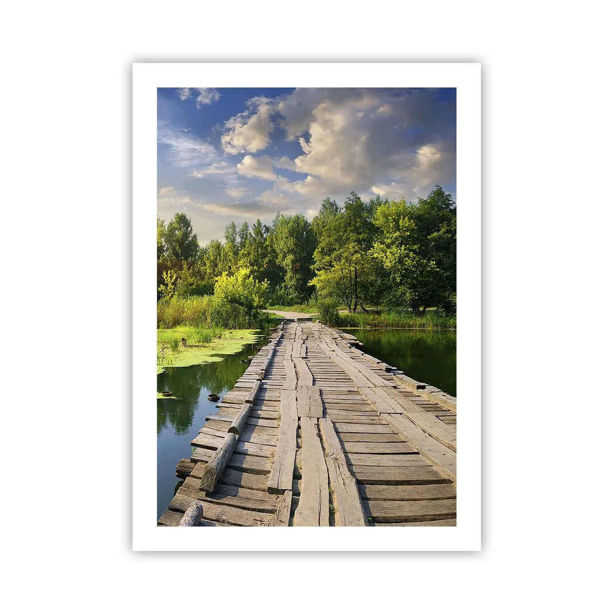 Poster - Summer Everywhere - 50x70 cm