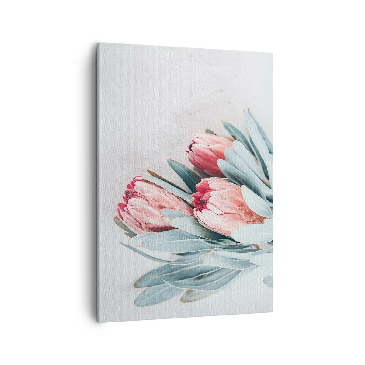 Canvas picture - Ashamed of Their Own Beauty - 50x70 cm