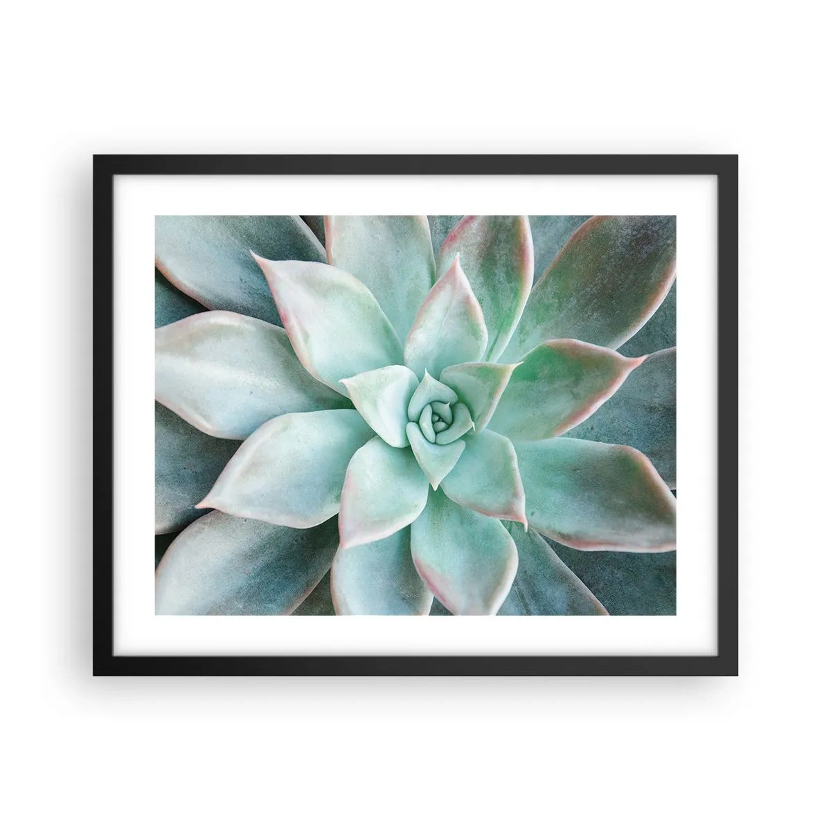 Poster in black frame - Heart of a Desert - 50x40 cm