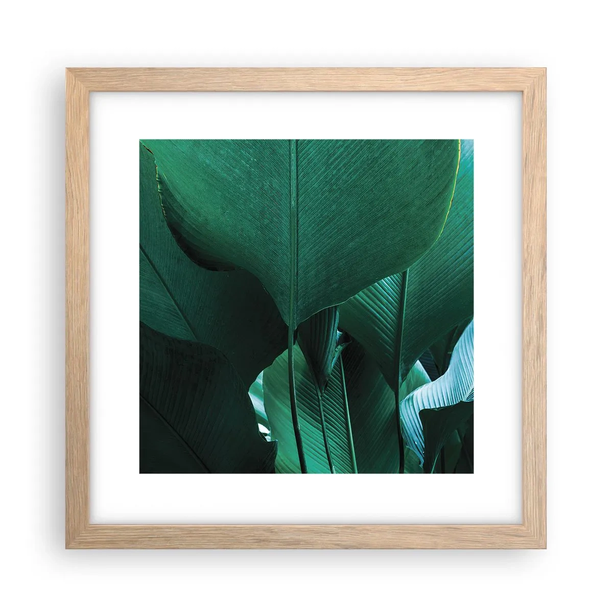 Poster in light oak frame - Turned towards Light - 30x30 cm