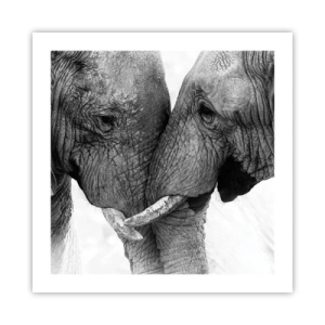 Poster - Hearty Confession - 50x50 cm