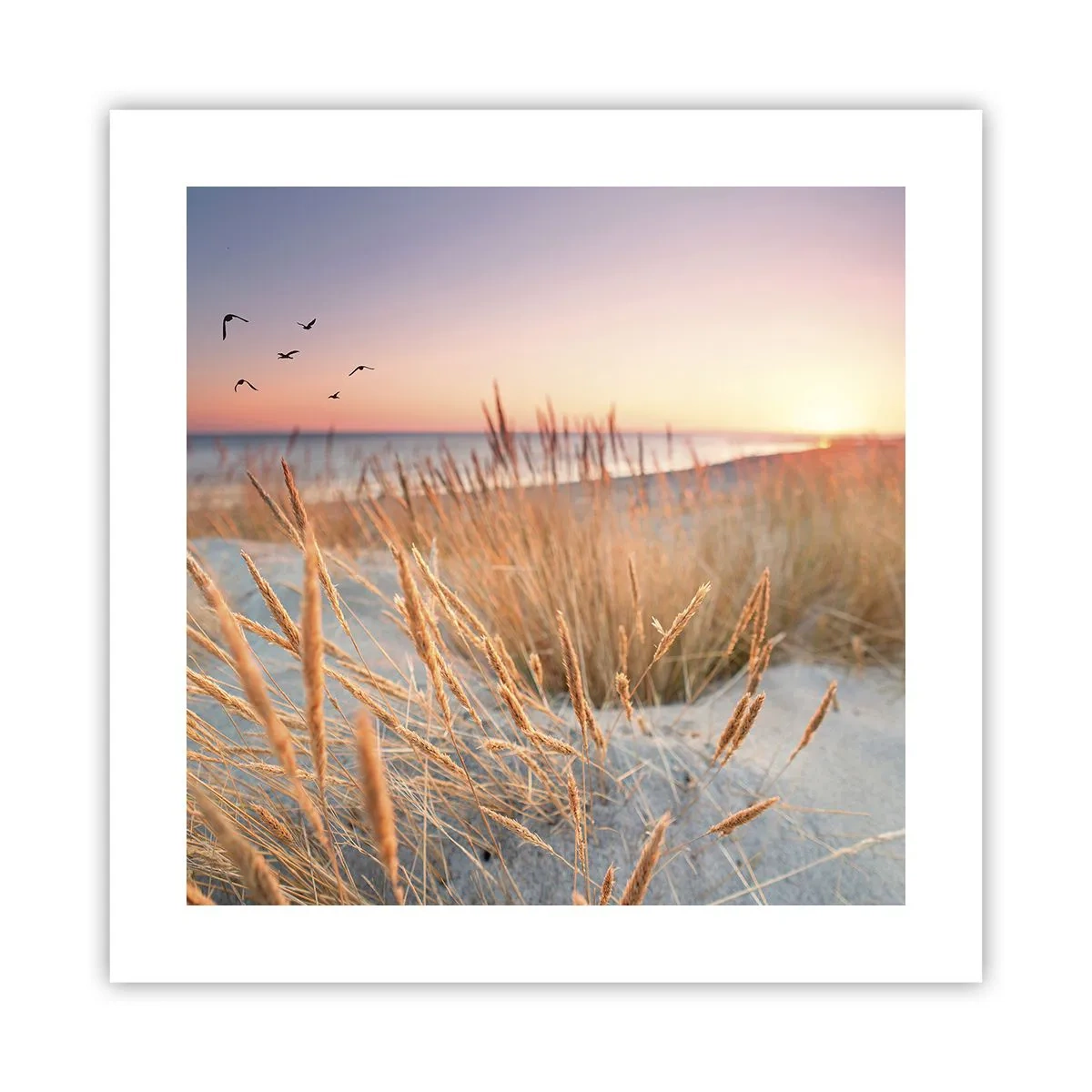 Poster - Baltic Lullaby - 40x40 cm