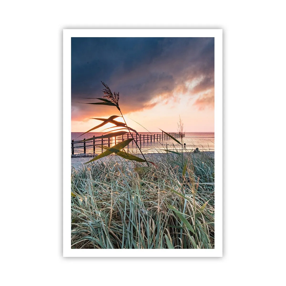 Poster - Not Gone with the Wind - 70x100 cm