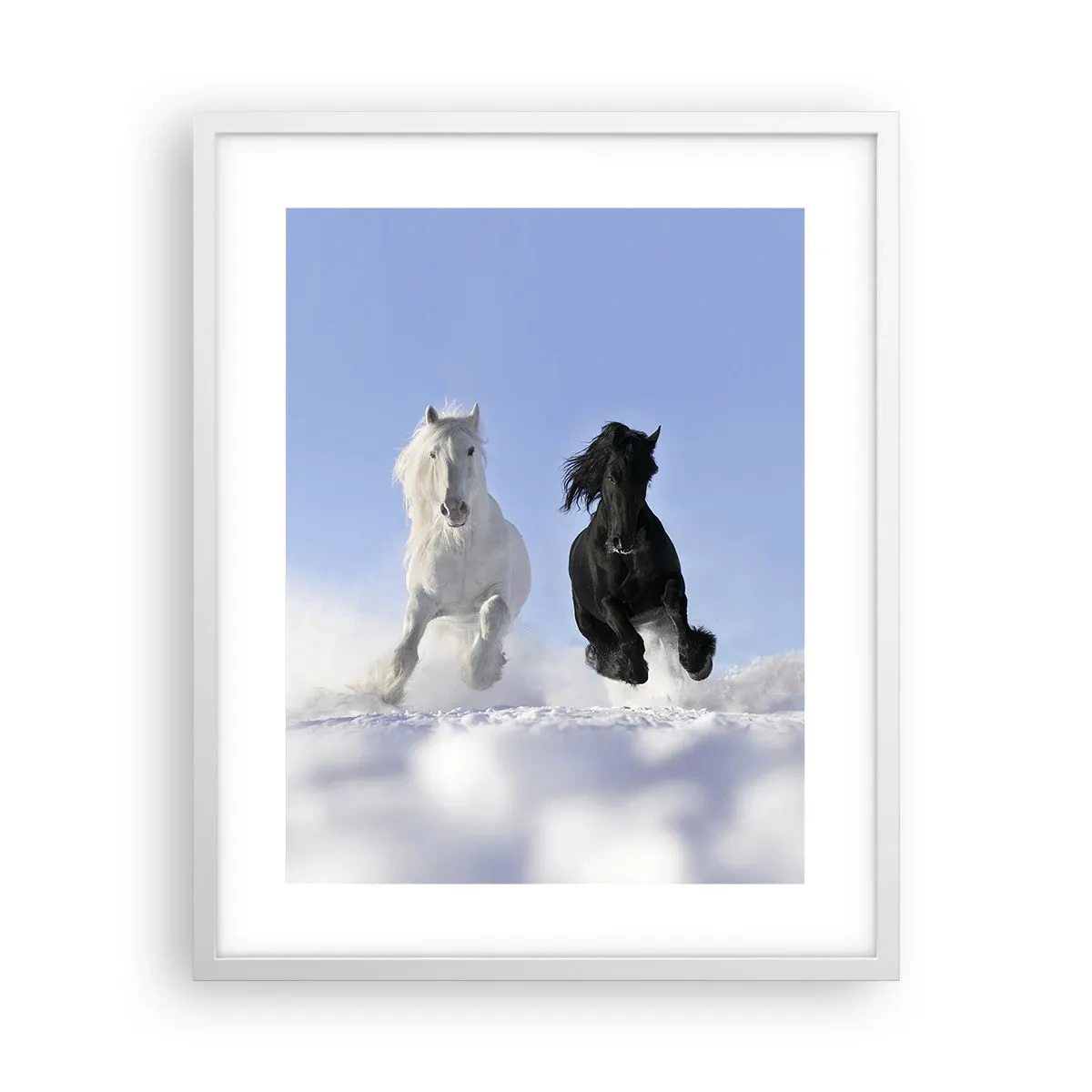 Poster in white frmae - Black and White Gallop - 40x50 cm