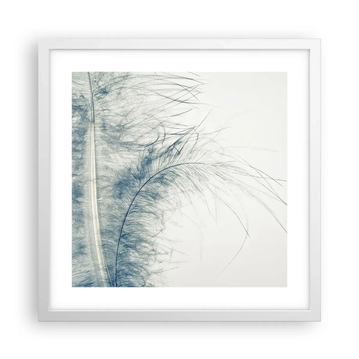 Poster in white frmae - Whisper of Nature - 40x40 cm