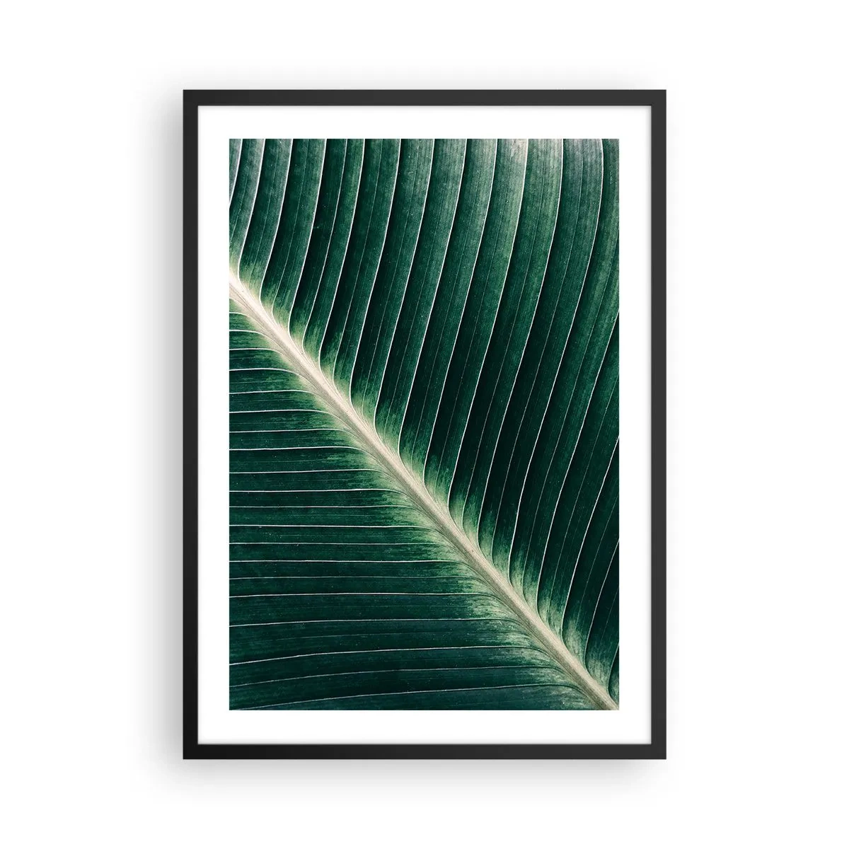 Poster in black frame - Detail of a green leaf with visible veins - 50x70cm - Rhythm of Nature - Modern wall decoration for the living room and bedroom ARTTOR