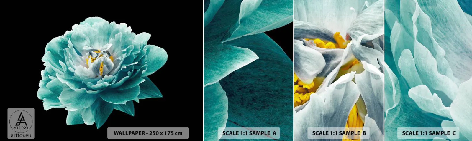 Photo Wallpaper Sample Standard Eco - Blue and Gold Petals - Flower, Blooming, Peony - 100x30 cm