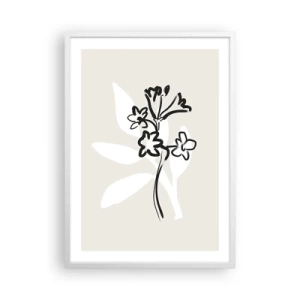 Poster in white frmae - Sketch for Herbarium - 50x70 cm