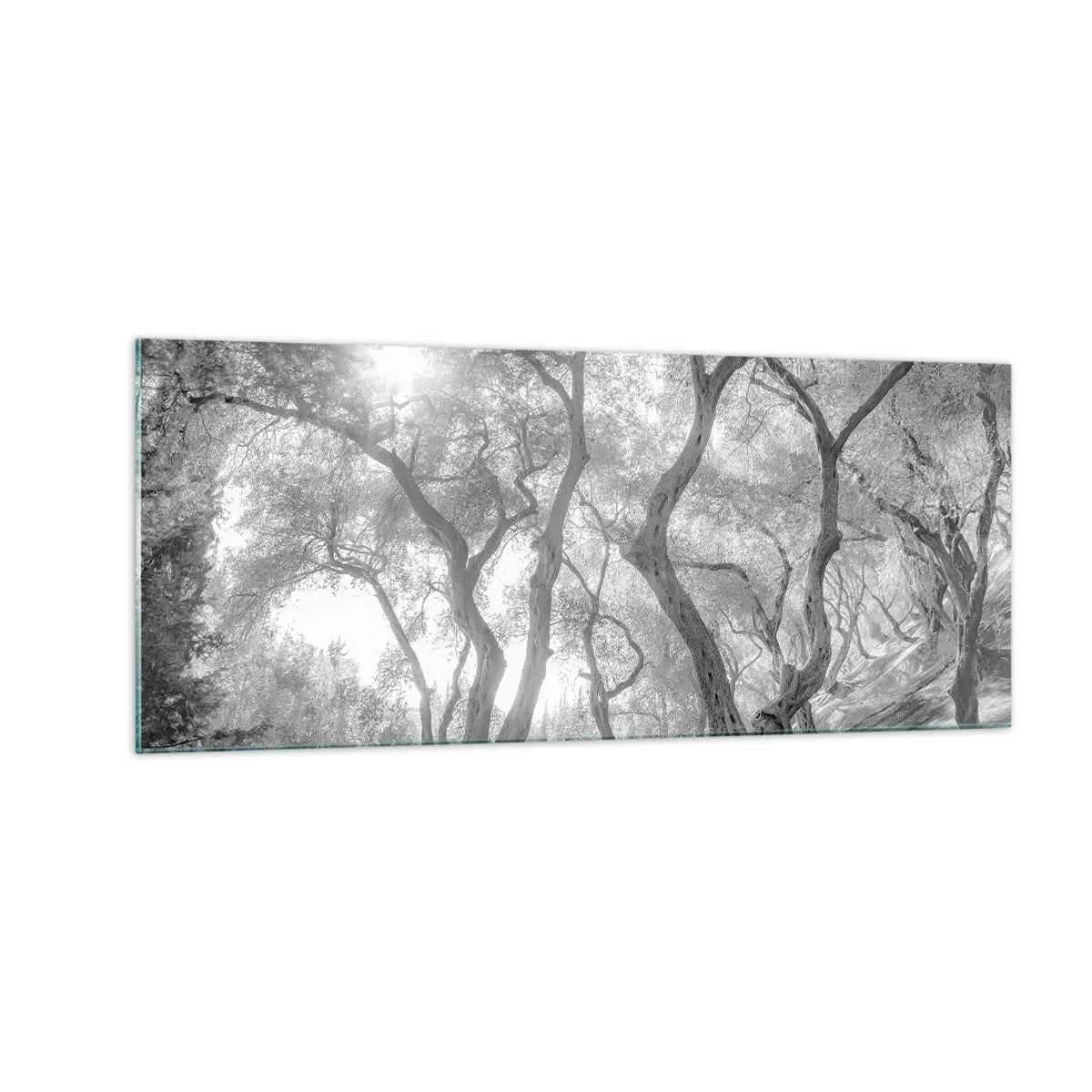 Glass picture - In an Olive Grove - 100x40 cm