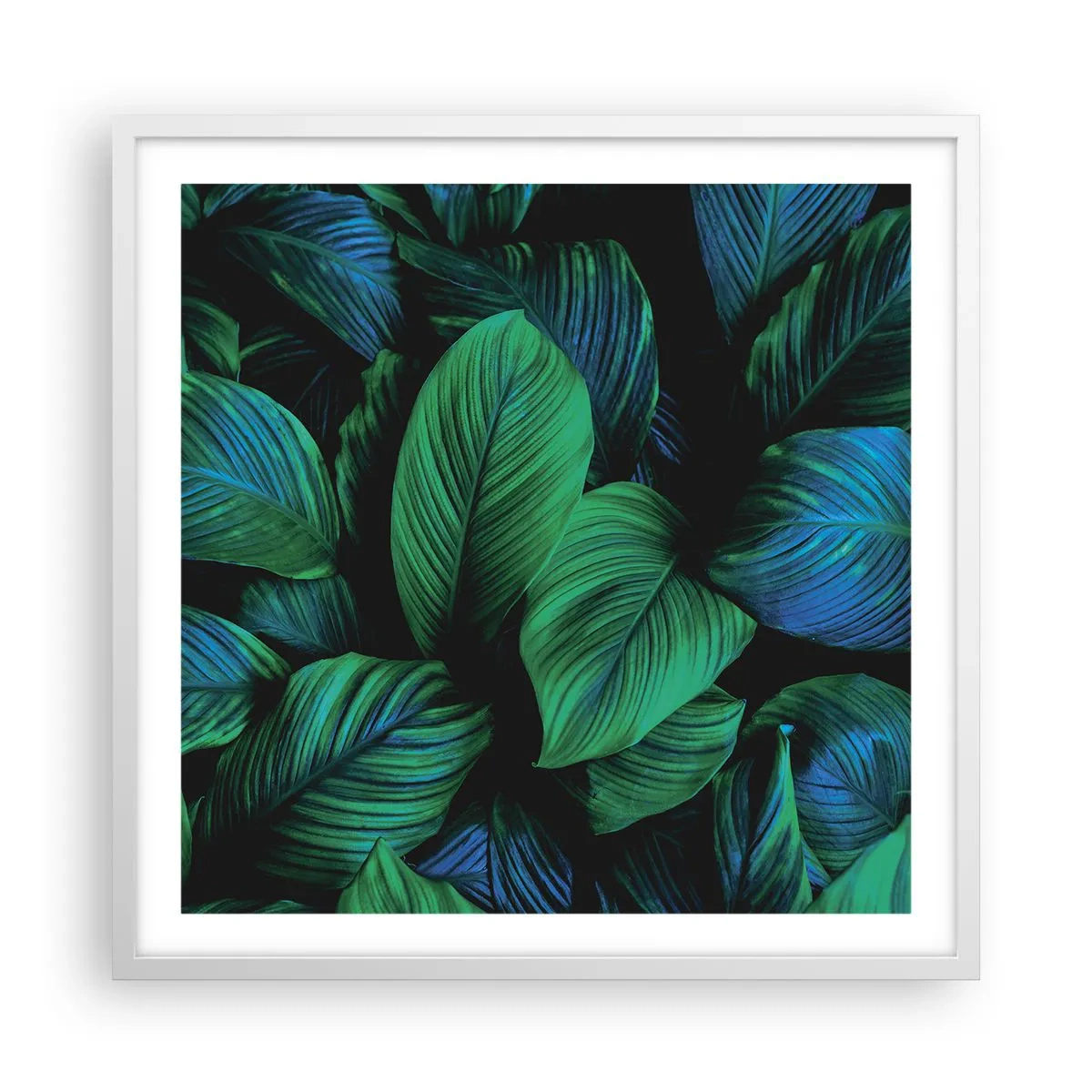 Poster in white frmae - In a Green Crowd - 60x60 cm