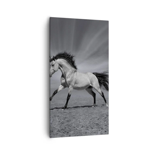 Canvas picture - Born to Amaze - 55x100 cm