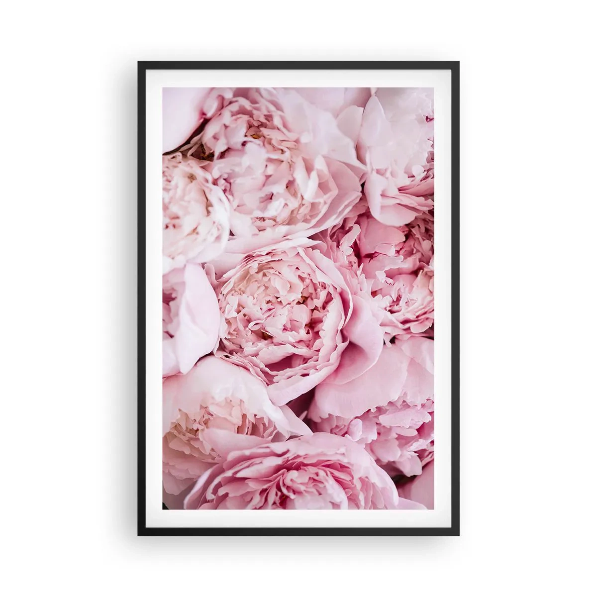 Poster in black frame - Cuddly and Fragrant - 61x91 cm