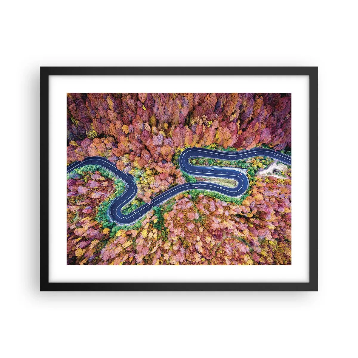 Poster in black frame - Winding Path through a Forest - 50x40 cm