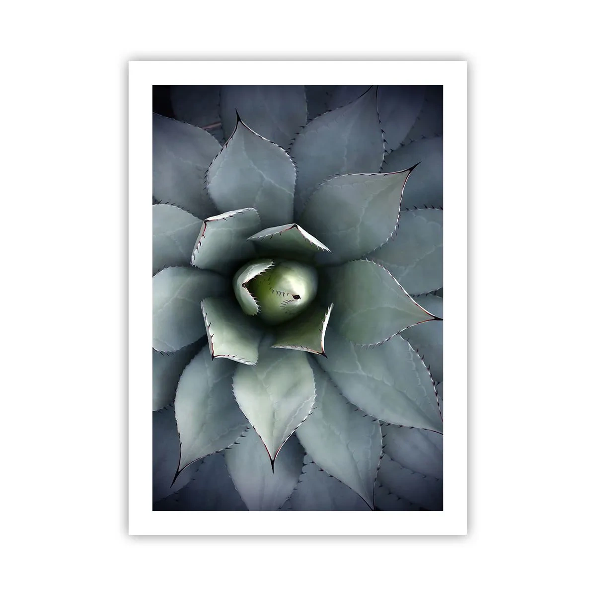 Poster - Attracts and Warns - 50x70 cm