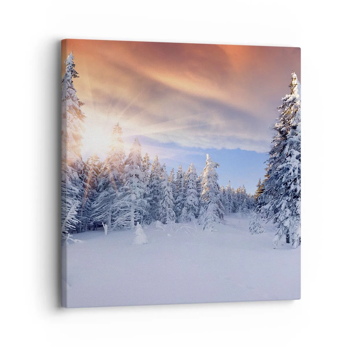 Canvas picture - Snowy Spectacle of Nature - 30x30 cm