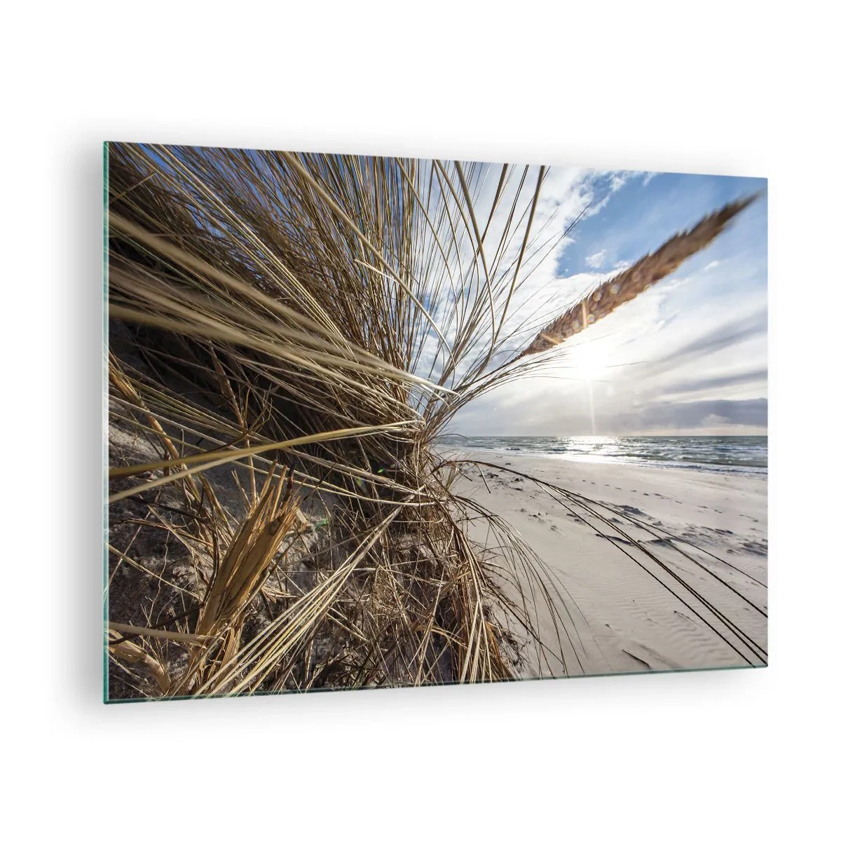 Glass picture - Golden grass against the backdrop of a sandy beach and the sea - 70x50cm - Enounter of the Elements - Modern wall decoration for the living room and bedroom ARTTOR