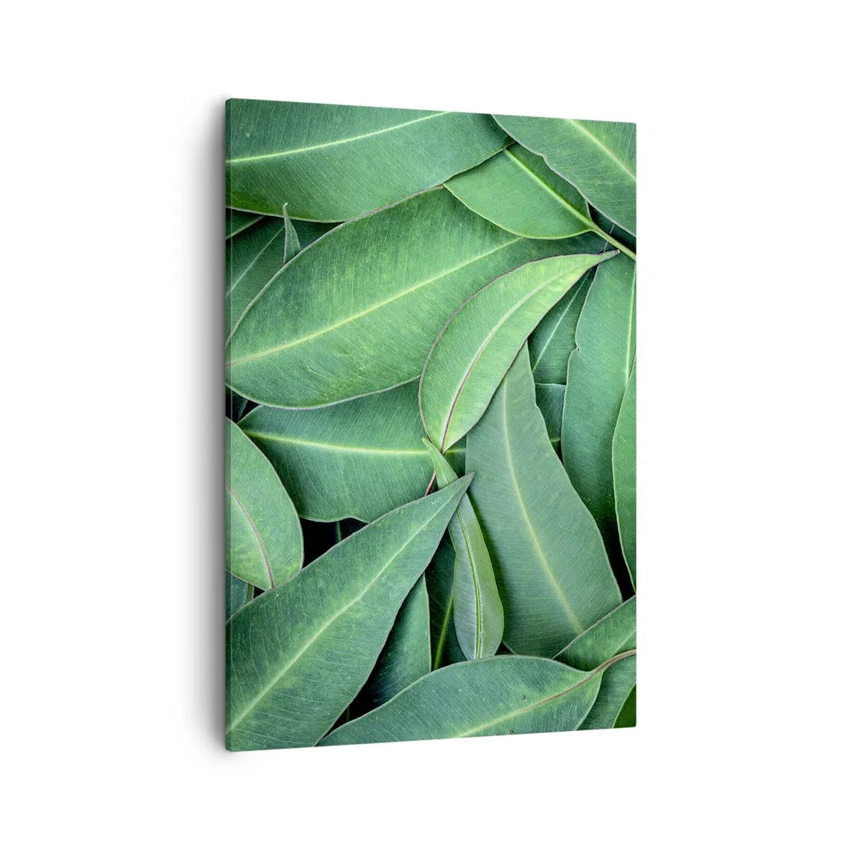 Canvas picture - Juicy and Fresh - 50x70 cm