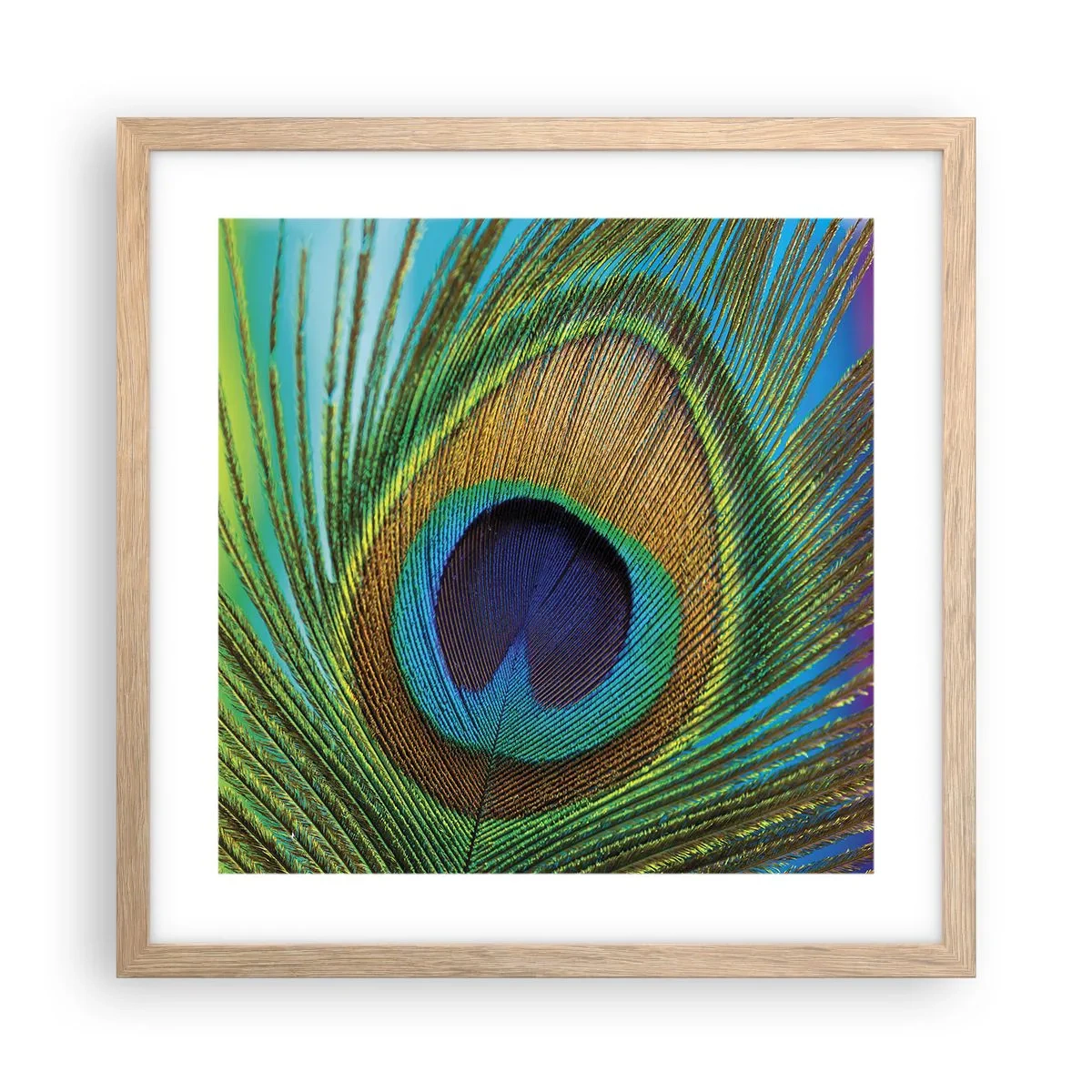 Poster in light oak frame - Eye to Eye - 40x40 cm