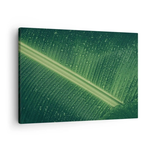Canvas picture - A green leaf with water drops on its surface - 70x50cm - Structure of Green - Modern wall decoration for the living room and bedroom ARTTOR