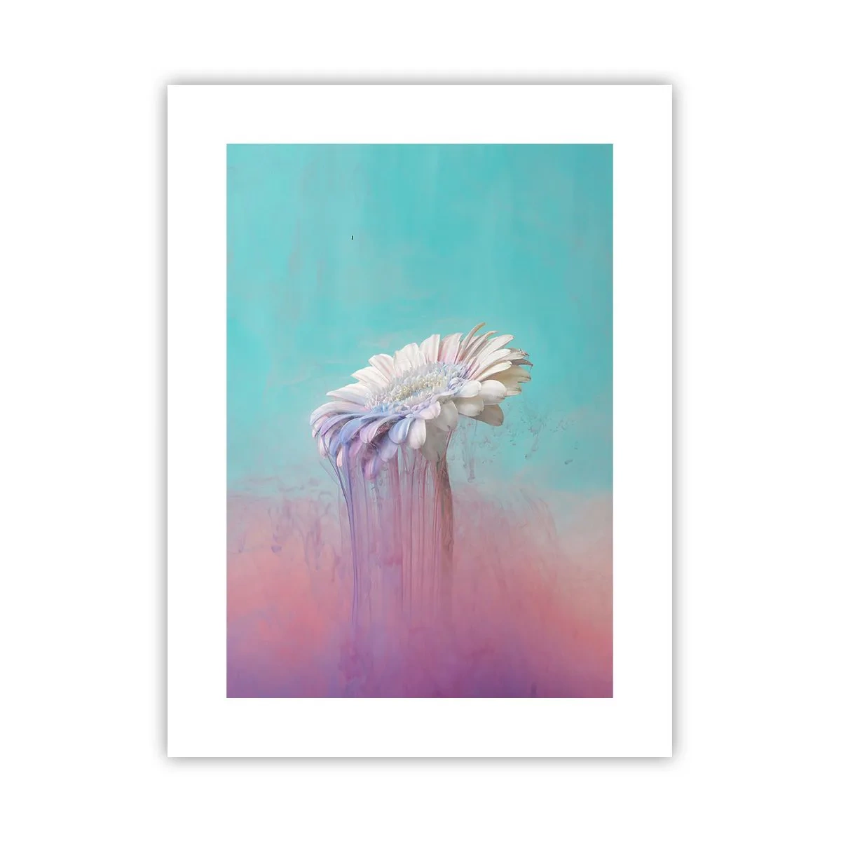Poster - Afterlife of Flowers - 30x40 cm