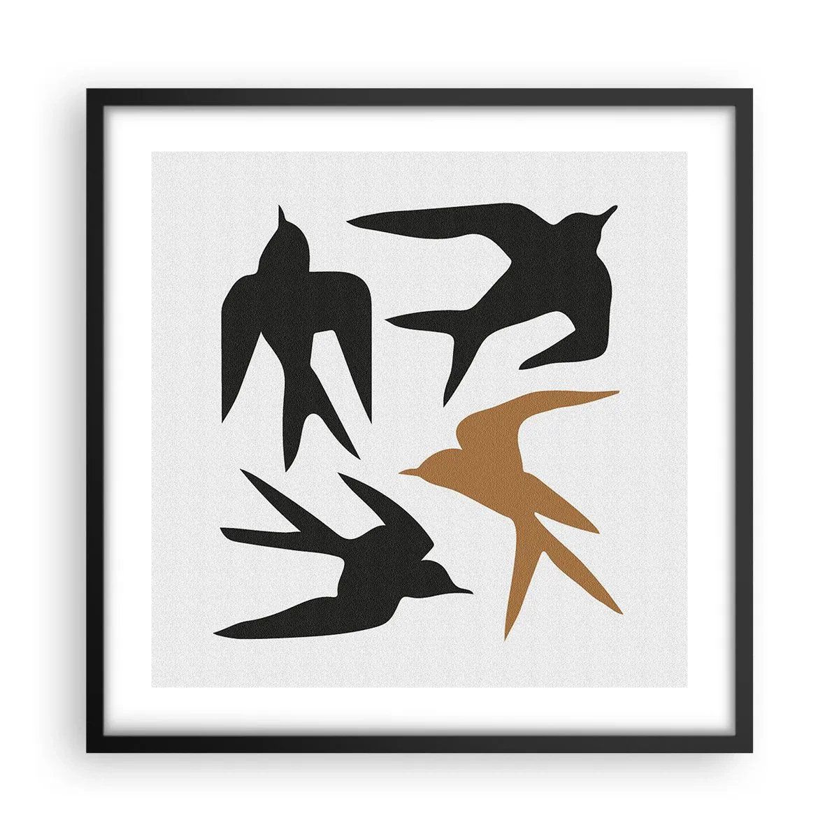 Poster in black frame - Swallows at Play - 50x50 cm