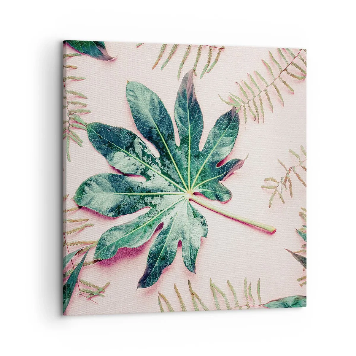 Canvas picture - Study in Green on Pink Background - 50x50 cm