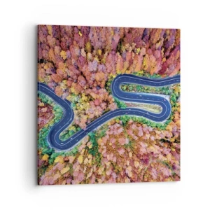 Canvas picture - Winding Path through a Forest - 70x70 cm