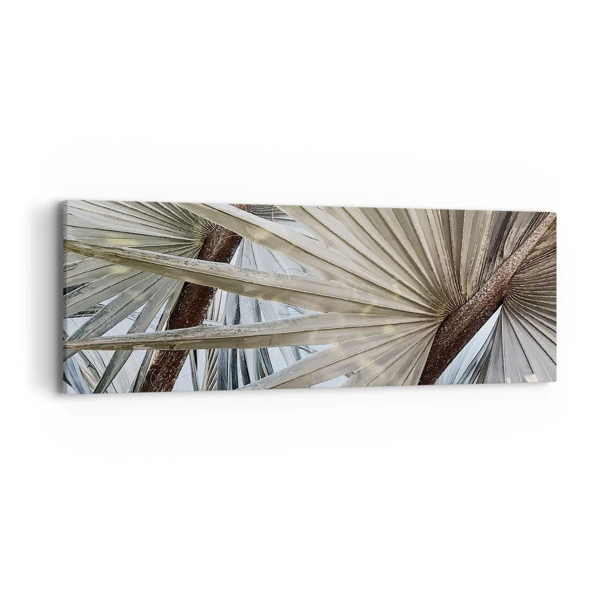 Canvas picture - Fans in tropics - 90x30 cm