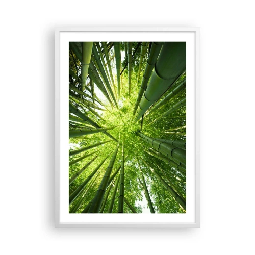 Poster in white frmae - In a Bamboo Forest - 50x70 cm