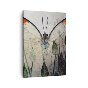 Canvas picture - When a Butterfly is Swinging on the Grass - 50x70 cm