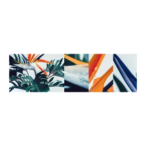 Photo Wallpaper Sample Self-Adhesive Deluxe Sticker - Birdy Bush - Plants, Boho, Exotic - 100x30 cm