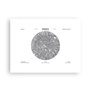 Poster - Anatomy of Paris - 40x30 cm